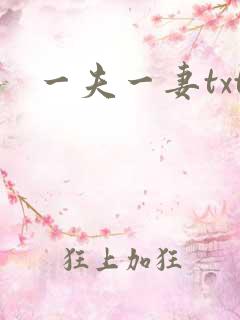 一夫一妻txt