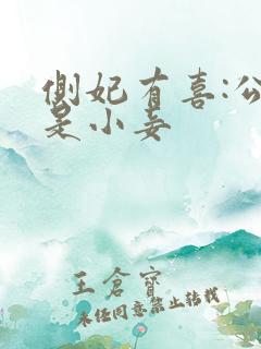 侧妃有喜:公主是小妾