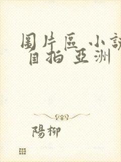 图片区 小说区 自拍 亚洲