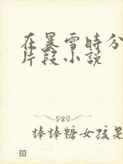 在暴雪时分高能片段小说