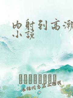 内射到高潮的H小说