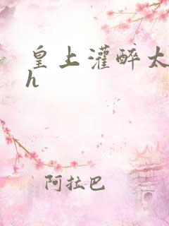 皇上灌醉太子妃h