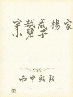 穿越成杨家将最小儿子