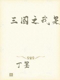 三国之我是华雄