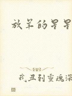 放羊的星星续集