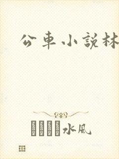 公车小说林蔓蔓