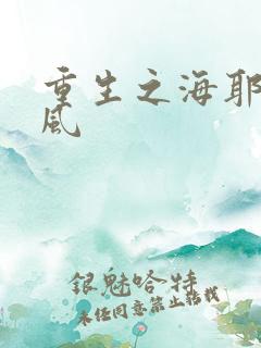 重生之海耶斯旋风