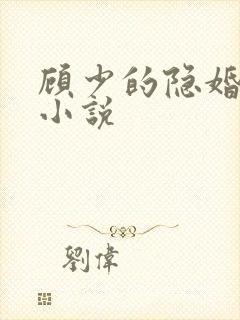 顾少的隐婚罪妻小说
