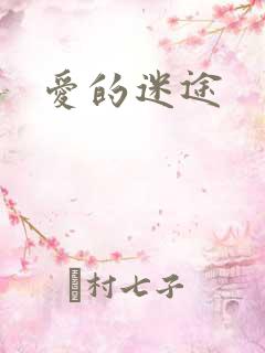 爱的迷途