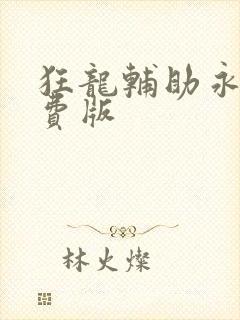 狂龙辅助永久免费版