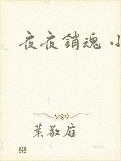 夜夜销魂 小说