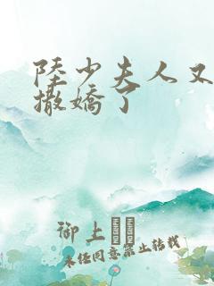 陆少夫人又双叒撒娇了