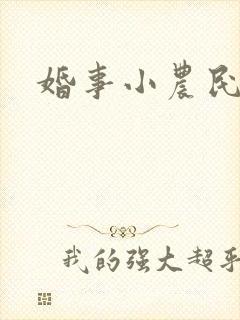 婚事小农民