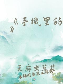 《手机里的秘密》