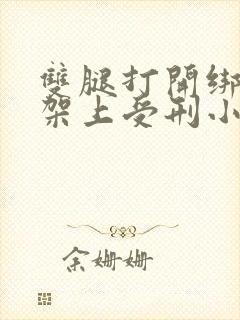 双腿打开绑在刑架上受刑小说