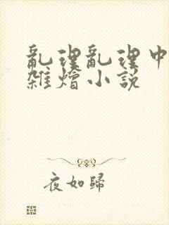 乱理乱理中文大杂烩小说