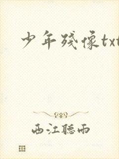 少年残像txt