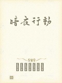 暗夜行动