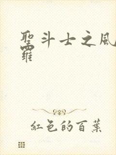 圣斗士之风舞娑罗