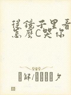 从镜子里看我是怎么C哭你