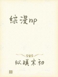 综漫np