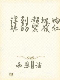 得到超级肉禽系统的紫岭红山