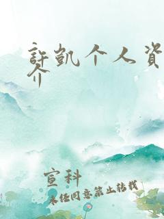 许凯个人资料简介