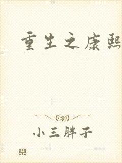 重生之康熙元后