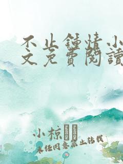 不止钟情小说全文免费阅读