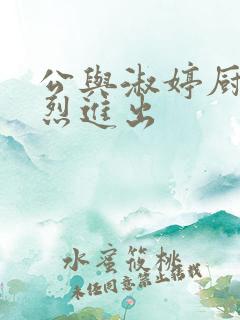 公与淑婷厨房猛烈进出