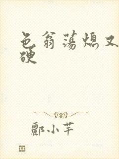 色翁荡熄又大又硬