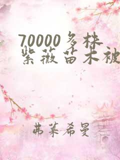 70000多株紫薇苗木被强毁