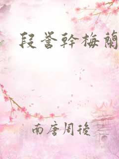 段誉干梅兰竹菊