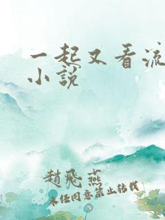 一起又看流星雨小说