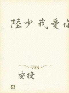 陆少 我爱你