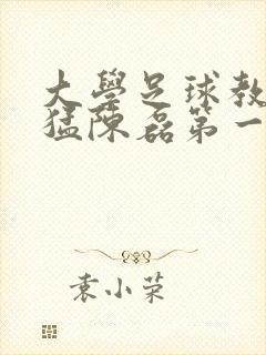 大学足球教练王猛陈磊第一篇