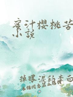 蜜汁樱桃苦咖啡小说