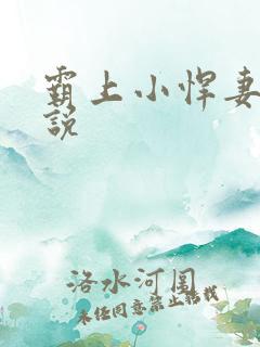霸上小悍妻 小说
