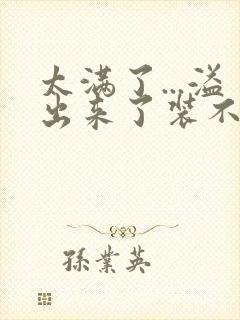 太满了...溢出来了装不下了