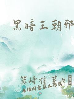 黑暗王朝邪恶版