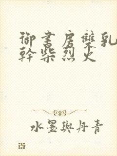 御书房双乳晃动干柴烈火