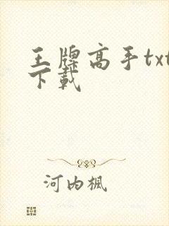 王牌高手txt下载