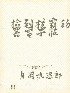 捡到校霸的遥控器电子版