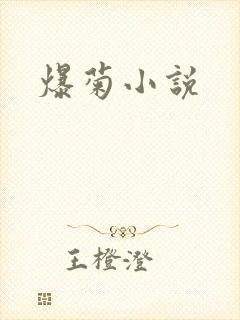 爆菊小说