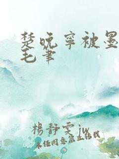 楚晚宁被墨燃塞毛笔