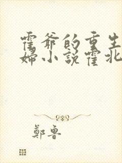 霍爷的重生小媳妇小说霍北江