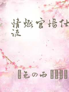 情燃官场仕途风流