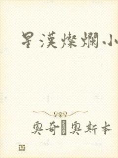 星汉灿烂小说