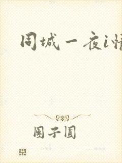 同城一夜i情