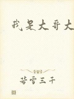 我是大哥大下载